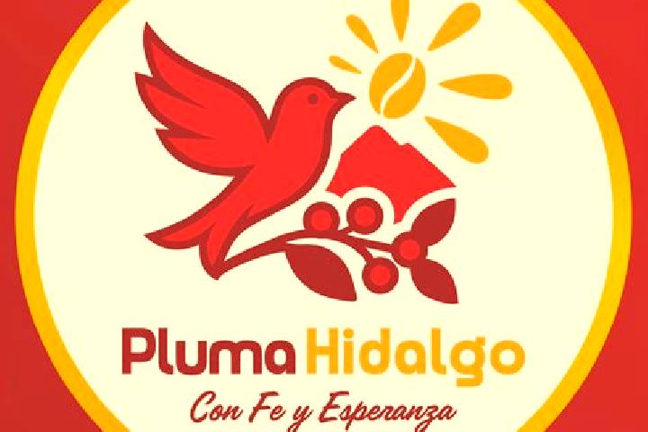 6 escort profiles in Pluma Hidalgo, Mexico. Browse companions, services, rates and book online. Incall and outcall available.