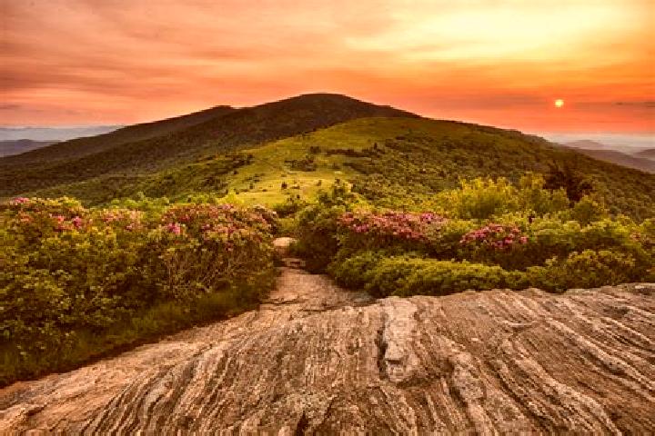 6 escort profiles in Roan Mountain, United States. Browse companions, services, rates and book online. Incall and outcall available.