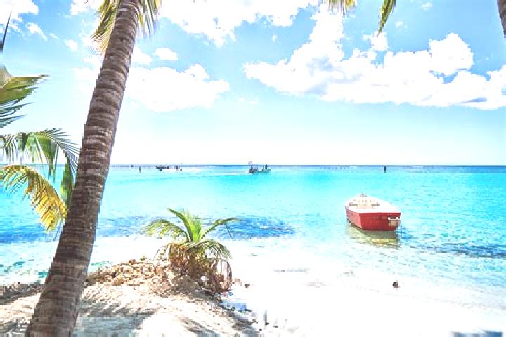 6 escort profiles in Santo Domingo Oeste, Dominican Republic. Browse companions, services, rates and book online. Incall and outcall available.