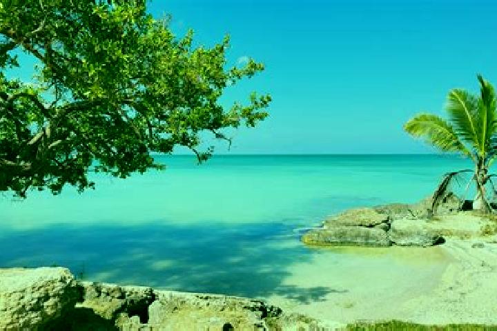 6 escort profiles in Sarteneja, Mexico. Browse companions, services, rates and book online. Incall and outcall available.
