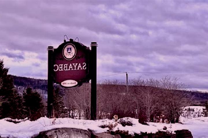 6 escort profiles in Sayabec, Canada. Browse companions, services, rates and book online. Incall and outcall available.