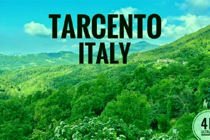 6 escort profiles in Tarcento, Italy. Browse companions, services, rates and book online. Incall and outcall available.