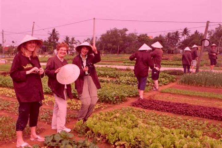 6 escort profiles in Tra Que Vegetable Village, Vietnam. Browse companions, services, rates and book online. Incall and outcall available.