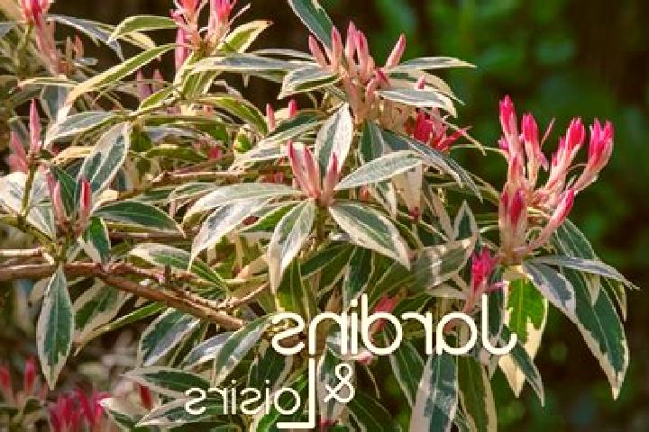 6 escort profiles in Villons-les-Buissons, France. Browse companions, services, rates and book online. Incall and outcall available.