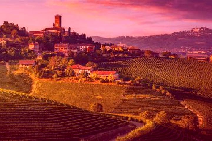 6 escort profiles in Virle Piemonte, Italy. Browse companions, services, rates and book online. Incall and outcall available.