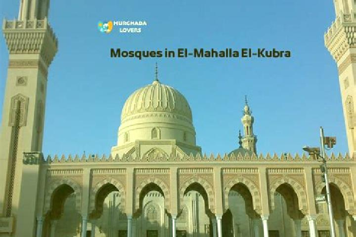 7 escort profiles in Al Mahallah al Kubra, Egypt. Browse companions, services, rates and book online. Incall and outcall available.