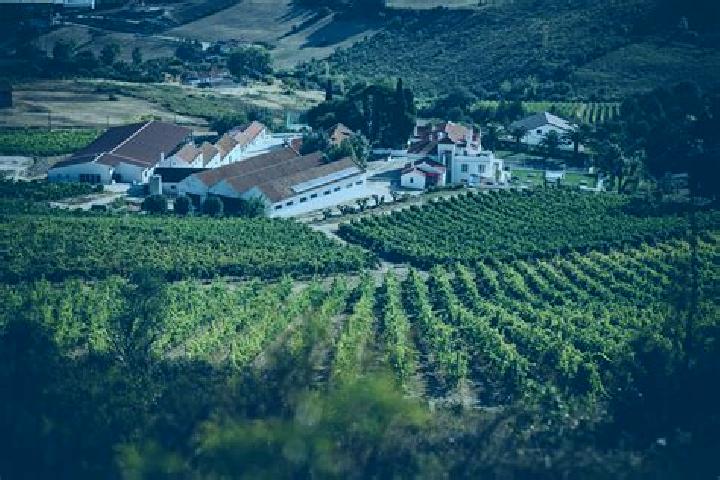 7 escort profiles in Arruda dos Vinhos, Portugal. Browse companions, services, rates and book online. Incall and outcall available.