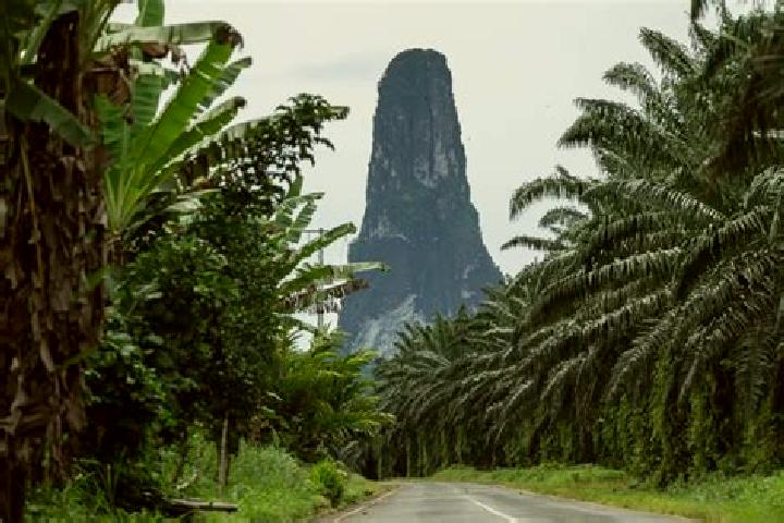 7 escort profiles in Bela Vista, Sao Tome and Principe. Browse companions, services, rates and book online. Incall and outcall available.
