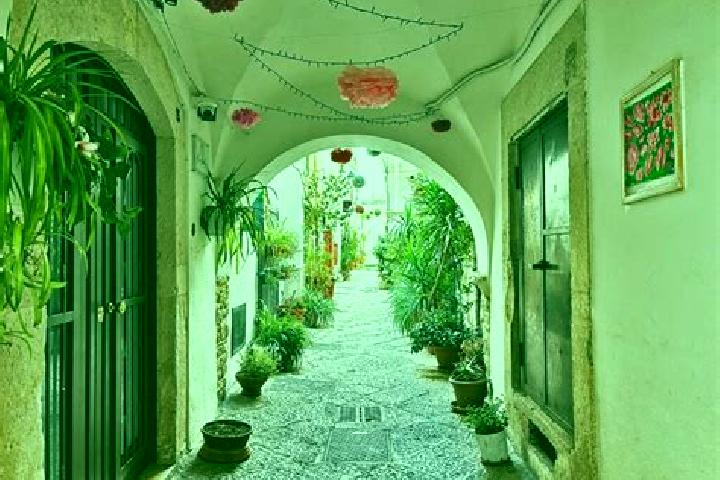 7 escort profiles in Bitonto, Italy. Browse companions, services, rates and book online. Incall and outcall available.