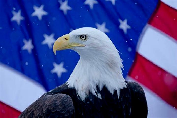 7 escort profiles in Black Eagle, United States. Browse companions, services, rates and book online. Incall and outcall available.