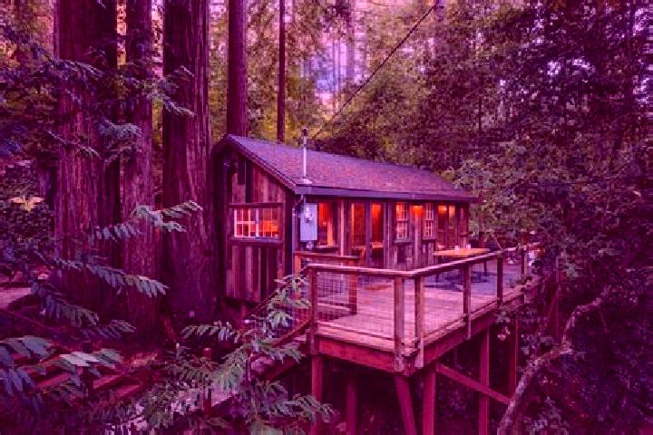 7 escort profiles in Camp Meeker, United States. Browse companions, services, rates and book online. Incall and outcall available.