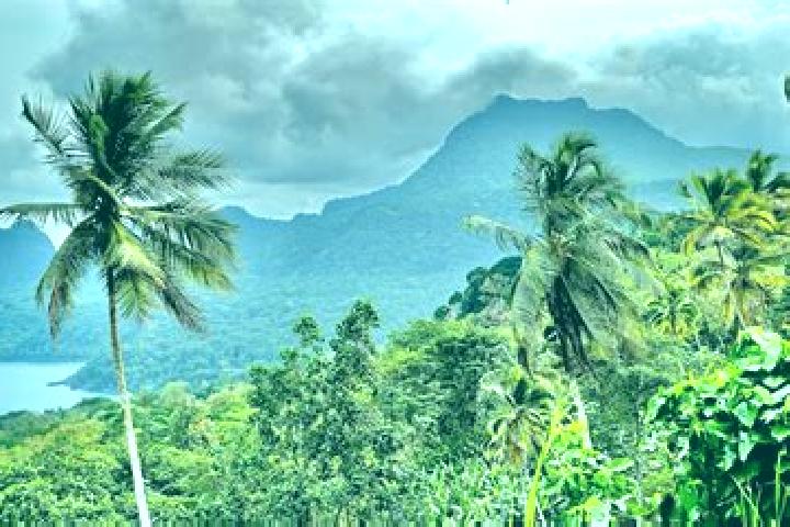 7 escort profiles in Desejada, Sao Tome and Principe. Browse companions, services, rates and book online. Incall and outcall available.