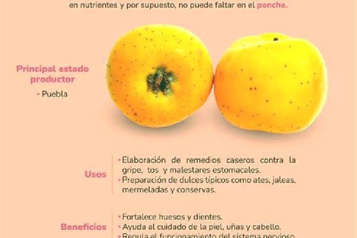 7 escort profiles in Ejido del Tejocote, Mexico. Browse companions, services, rates and book online. Incall and outcall available.