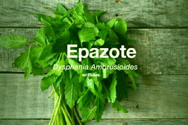 7 escort profiles in El Epazote, Mexico. Browse companions, services, rates and book online. Incall and outcall available.
