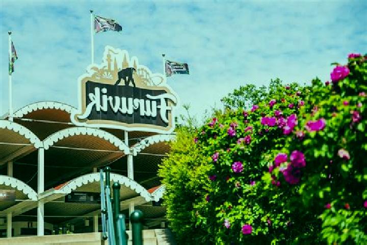 7 escort profiles in Furuvik, Sweden. Browse companions, services, rates and book online. Incall and outcall available.