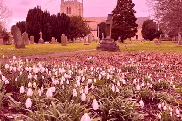7 escort profiles in Kirton in Lindsey, United Kingdom. Browse companions, services, rates and book online. Incall and outcall available.