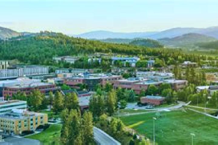 7 escort profiles in Okanagan Centre, Canada. Browse companions, services, rates and book online. Incall and outcall available.