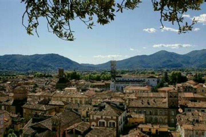 7 escort profiles in Orentano, Italy. Browse companions, services, rates and book online. Incall and outcall available.