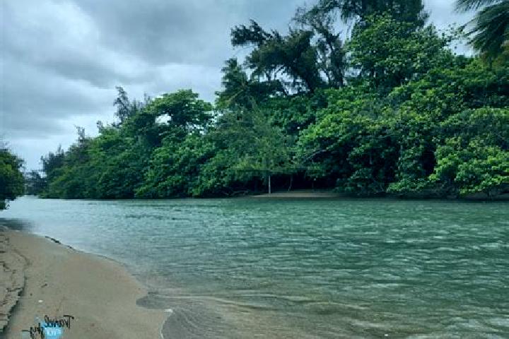 7 escort profiles in Palo Seco, Puerto Rico. Browse companions, services, rates and book online. Incall and outcall available.