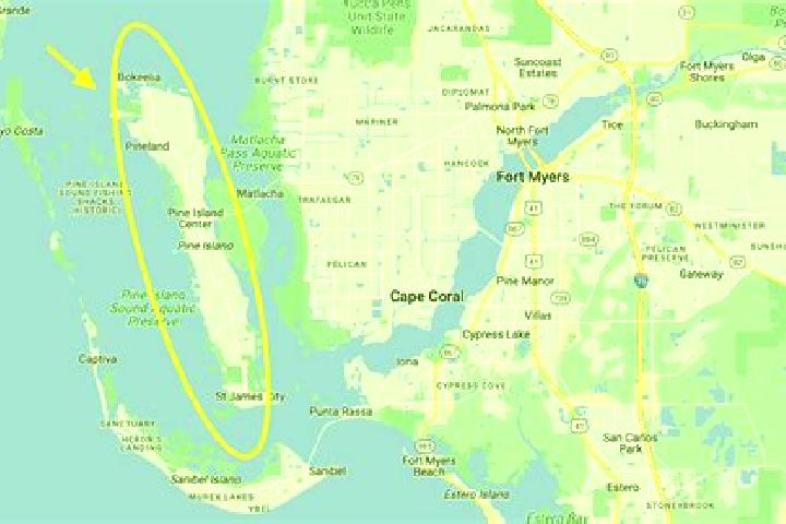 7 escort profiles in Pine Island Ridge, United States. Browse companions, services, rates and book online. Incall and outcall available.
