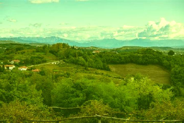 7 escort profiles in San Floriano del Collio, Italy. Browse companions, services, rates and book online. Incall and outcall available.