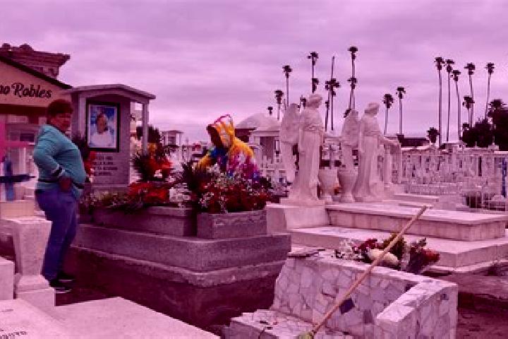 7 escort profiles in San Pedro Tlanixco, Mexico. Browse companions, services, rates and book online. Incall and outcall available.
