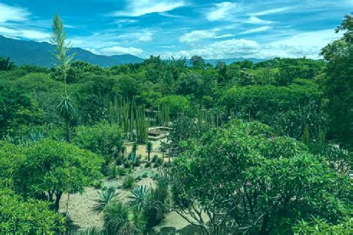 7 escort profiles in Santa Maria Jacatepec, Mexico. Browse companions, services, rates and book online. Incall and outcall available.