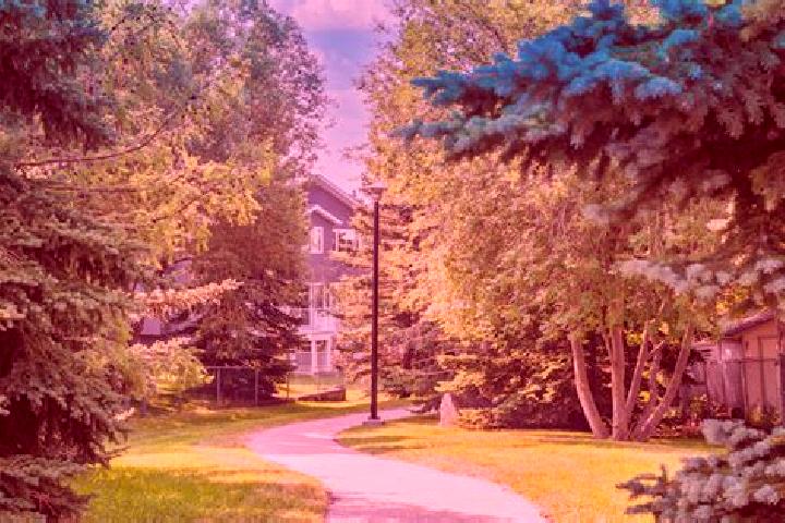 7 escort profiles in Scenic Acres, Canada. Browse companions, services, rates and book online. Incall and outcall available.