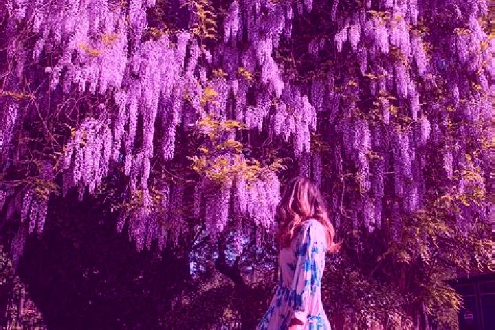 7 escort profiles in Schitu Poienari, Romania. Browse companions, services, rates and book online. Incall and outcall available.