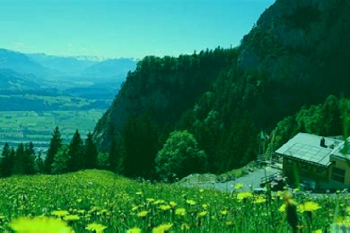 7 escort profiles in Sennwald, Switzerland. Browse companions, services, rates and book online. Incall and outcall available.
