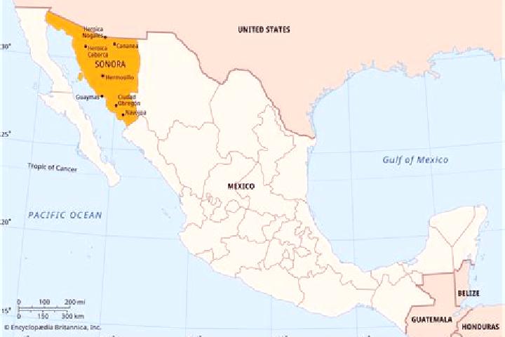 7 escort profiles in Sonora, Mexico. Browse companions, services, rates and book online. Incall and outcall available.