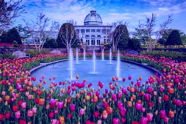 7 escort profiles in Spring Gardens, United States. Browse companions, services, rates and book online. Incall and outcall available.