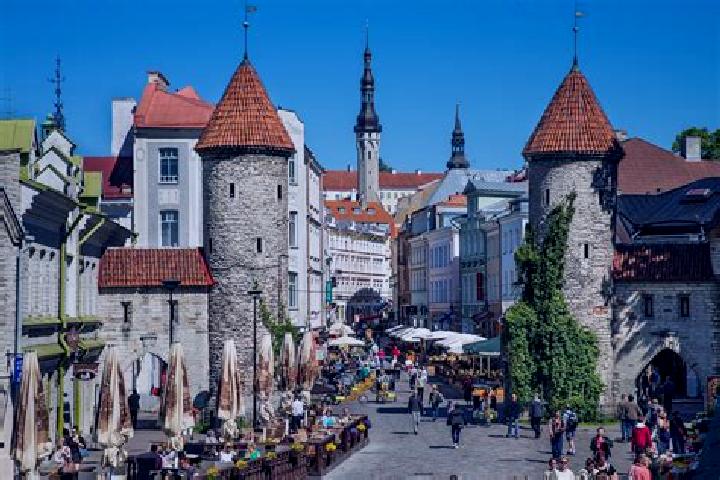 7 escort profiles in Tallinn, Estonia. Browse companions, services, rates and book online. Incall and outcall available.