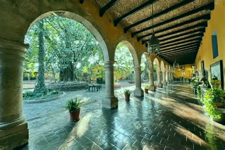 7 escort profiles in Tepoztlan, Mexico. Browse companions, services, rates and book online. Incall and outcall available.