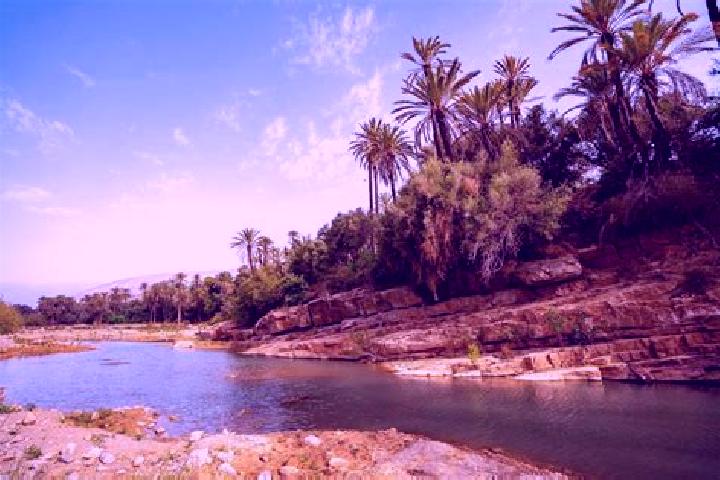 7 escort profiles in Tiout, Morocco. Browse companions, services, rates and book online. Incall and outcall available.