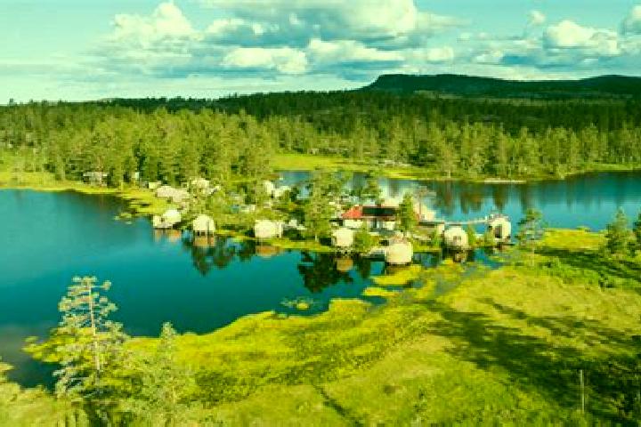 7 escort profiles in Treungen, Norway. Browse companions, services, rates and book online. Incall and outcall available.
