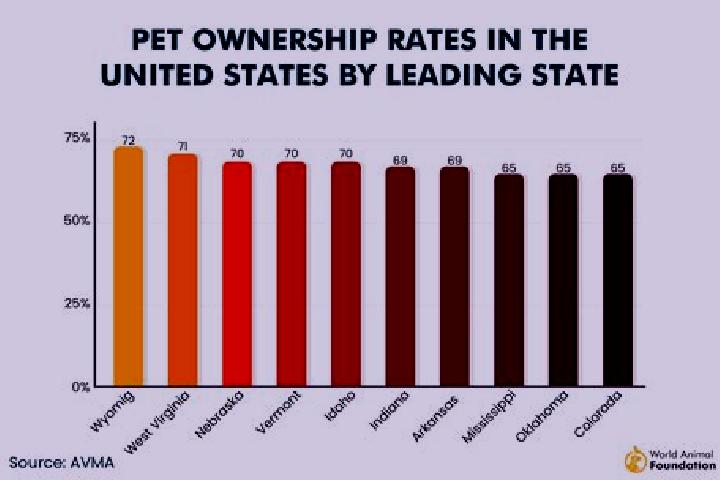 8 escort profiles in Adrian, United States. Browse companions, services, rates and book online. Incall and outcall available.