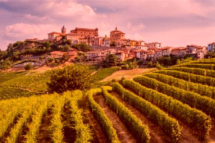8 escort profiles in Belvedere Langhe, Italy. Browse companions, services, rates and book online. Incall and outcall available.