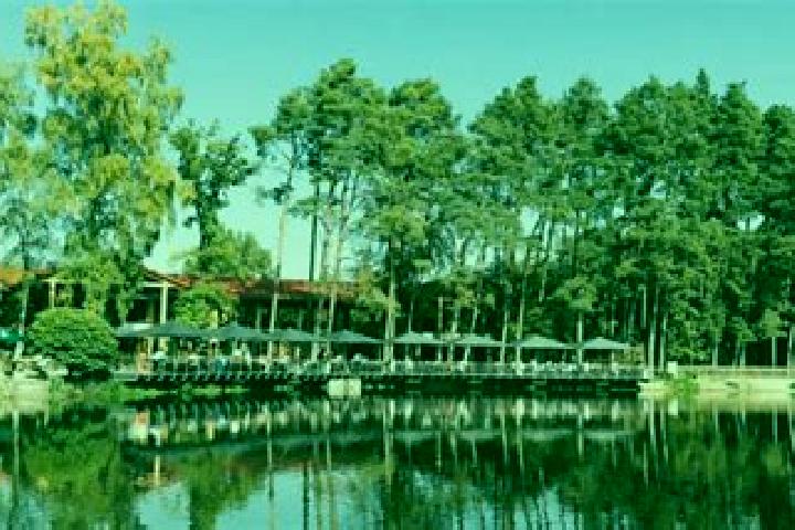8 escort profiles in Birkenheide, Germany. Browse companions, services, rates and book online. Incall and outcall available.