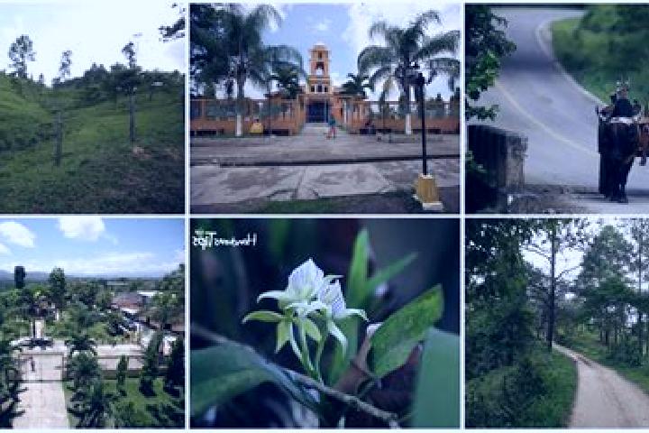 8 escort profiles in Dulce Nombre de Culmi, Honduras. Browse companions, services, rates and book online. Incall and outcall available.