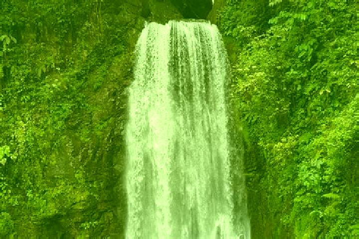 8 escort profiles in El Tigre, Honduras. Browse companions, services, rates and book online. Incall and outcall available.