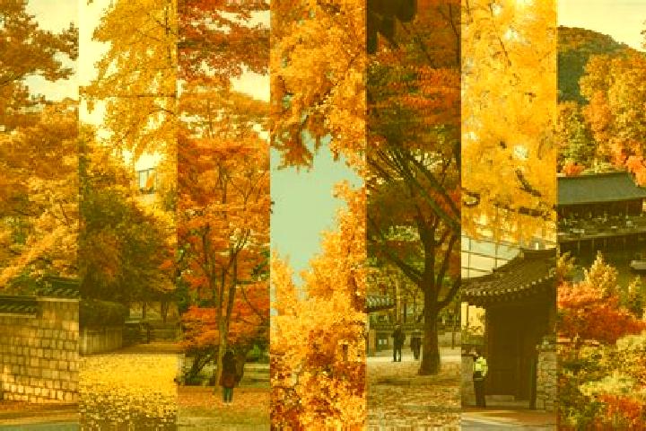 8 escort profiles in Geoje, South Korea. Browse companions, services, rates and book online. Incall and outcall available.
