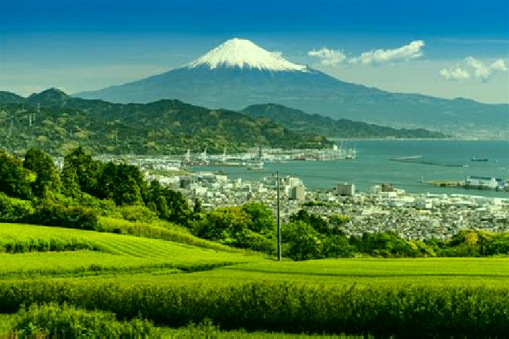 8 escort profiles in Izunokuni, Japan. Browse companions, services, rates and book online. Incall and outcall available.