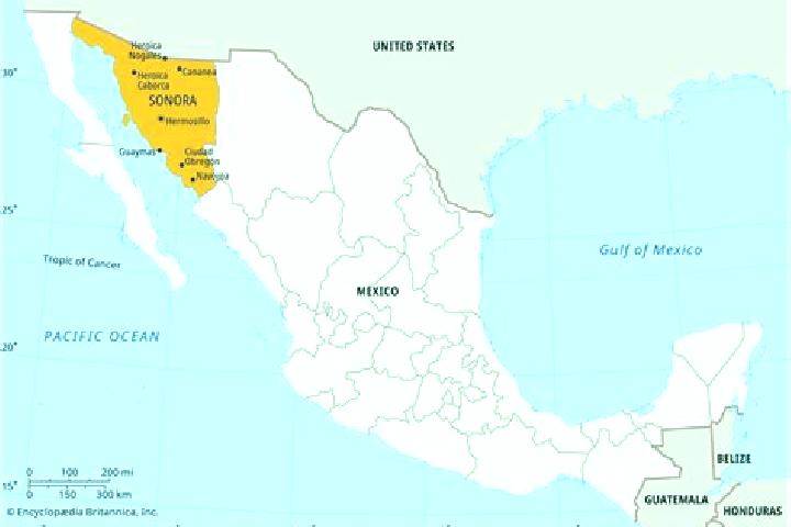 8 escort profiles in Las Norias (Norias), Mexico. Browse companions, services, rates and book online. Incall and outcall available.