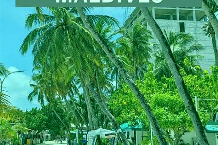 8 escort profiles in Maafushi, Maldives. Browse companions, services, rates and book online. Incall and outcall available.