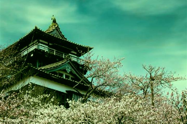 8 escort profiles in Maruoka, Japan. Browse companions, services, rates and book online. Incall and outcall available.