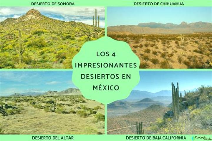 8 escort profiles in Mesa de los Leones, Mexico. Browse companions, services, rates and book online. Incall and outcall available.