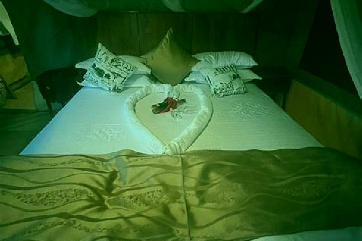 8 escort profiles in Mugumu, Tanzania. Browse companions, services, rates and book online. Incall and outcall available.