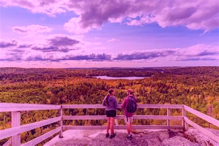 8 escort profiles in Musquodoboit Harbour, Canada. Browse companions, services, rates and book online. Incall and outcall available.