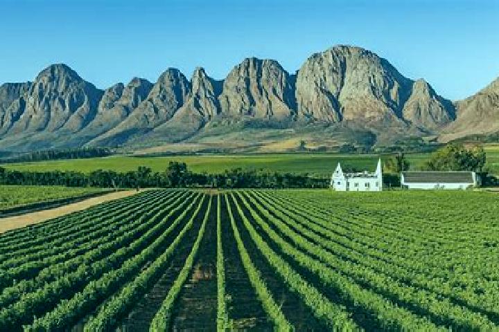 8 escort profiles in Paarl, South Africa. Browse companions, services, rates and book online. Incall and outcall available.